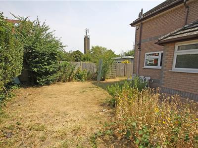 Picture 14